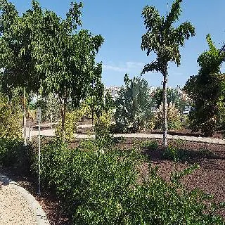 Lägenhet Bungalows Capri Maspalomas